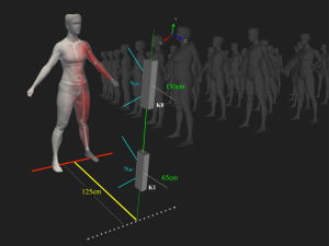 3D representation of a human body